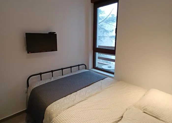 Apartman Pino Silvestre *